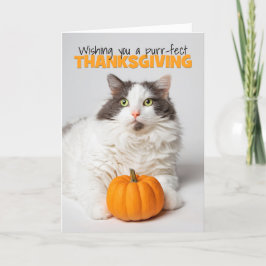 Cartão De Festividades Feliz Gato Gato Gato Gato Gato E Gato Com Pumpkin