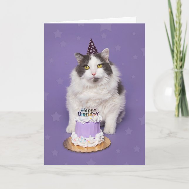 Cartão De Festividades Feliz Gato Gordo De Aniversário Com Humor De Bolo (Frente)