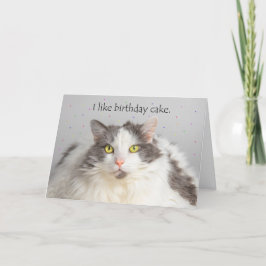 Cartão De Festividades Feliz Gato Gordo De Aniversário Gosta De Bolo De A