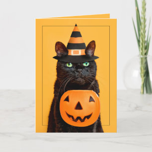 Cartão De Festividades Feliz Gato Negro Engraçado de Halloween no Chapéu