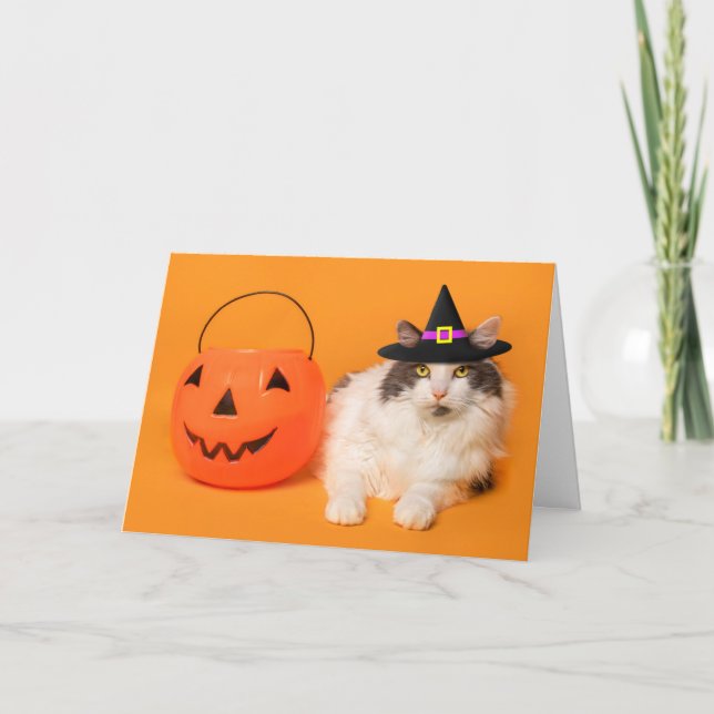 Cartão De Festividades Feliz Halloween para qualquer gato fofo de chapéu  (Frente)