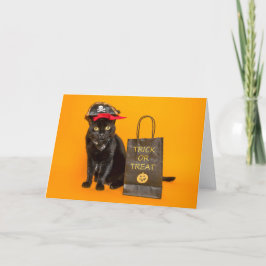 Cartão De Festividades Feliz Halloween para qualquer gato pirata engraçad