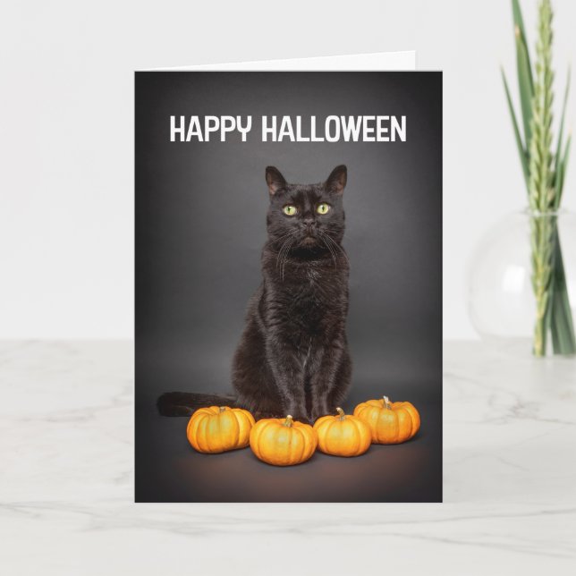 Cartão De Festividades Feliz Halloween para qualquer gato preto com abóbo (Frente)