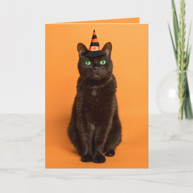 Cartão De Festividades Feliz Halloween para qualquer gato preto de chapéu (Frente)