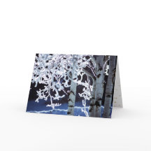 Feliz Hanukkah Bétulas geadas