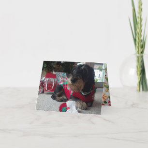 Cartão De Festividades Feliz Howlidays