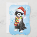 Cartão De Festividades Feliz Howlidays PWD<br><div class="desc">Celebrar o feriado com um filhote de cachorro-d-d-água português giro vestindo um chapéu de Papai Noel e cachecol no meio de flocos de neve com as palavras Feliz Howlidays no verso! Excelente para familiares e amigos que amam PWD.</div>