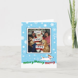 Cartão De Festividades Feliz Jack Russell Cachorro Bonito Seu Natal Fot