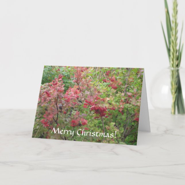 Cartão De Festividades Feliz Natal (Frente)