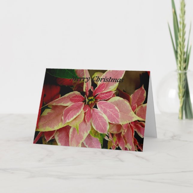 Cartão De Festividades Feliz Natal (Frente)