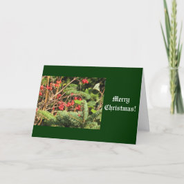 Cartão De Festividades Feliz Natal