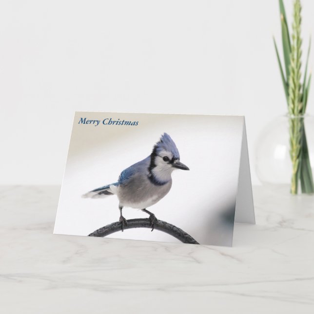 Cartão De Festividades Feliz Natal (Frente)