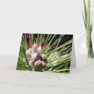 Cartão De Festividades Feliz Natal…