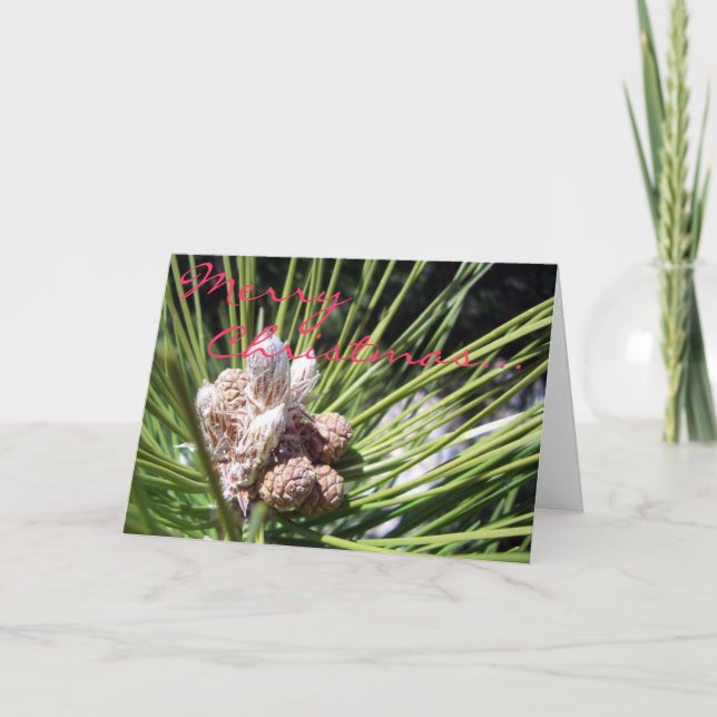 Cartão De Festividades Feliz Natal… (Frente)