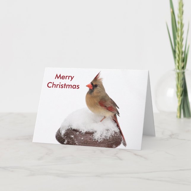 Cartão De Festividades Feliz Natal (Frente)