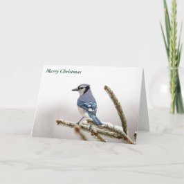 Cartão De Festividades Feliz Natal