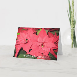 Cartão De Festividades Feliz Natal