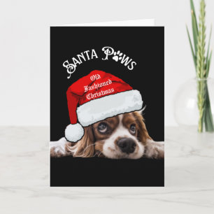 Cartão De Festividades Feliz Natal Animais de Estimação 2026