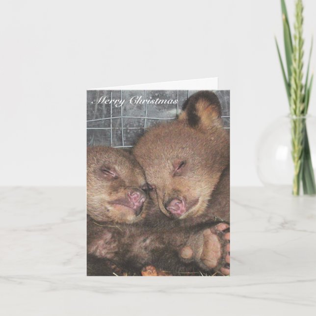 Cartão De Festividades Feliz Natal - Ata e Awina (Frente)