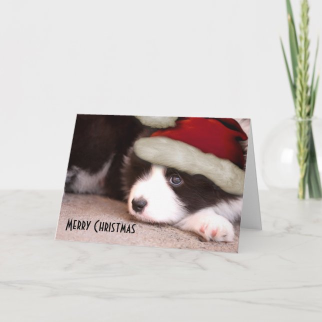 Cartão De Festividades Feliz Natal Bebê Border Collie - Papai Noel (Frente)