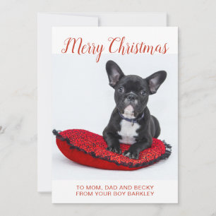Cartão De Festividades Feliz Natal Bulldog Francês No Travesseiro Para a