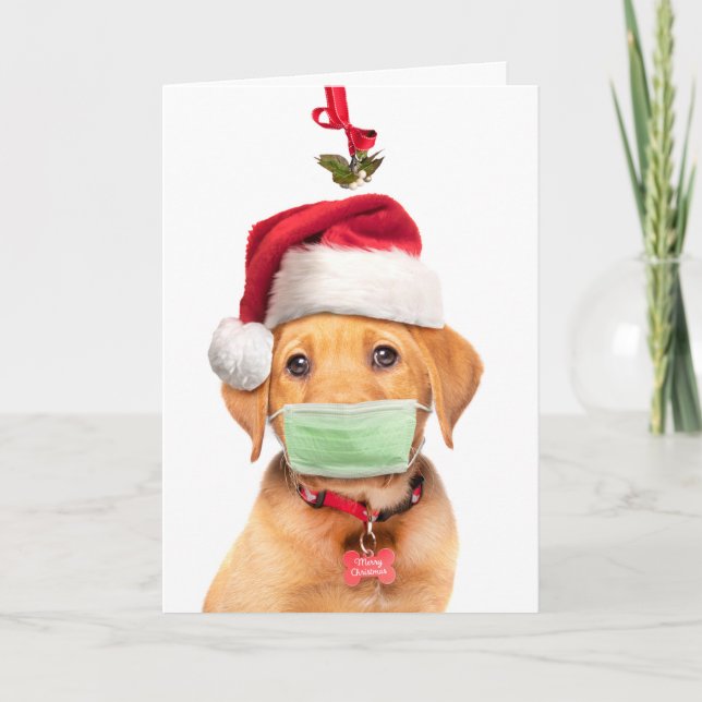 Cartão De Festividades Feliz Natal cachorrinho Labrador com máscara facia (Frente)