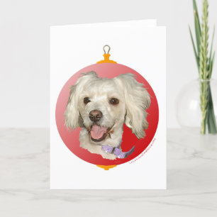 Cartão De Festividades Feliz Natal Cachorrinho Poodle / Bichon