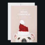 Cartão De Festividades Feliz Natal. Cachorro bonito. Papai Noel Animal<br><div class="desc">Cartão postal de Natal com um cachorro fofo. Entre em contato comigo,  por favor,  se precisar de itens adicionais.</div>