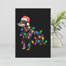 Feliz Natal Cachorro Enroscado em Luzes