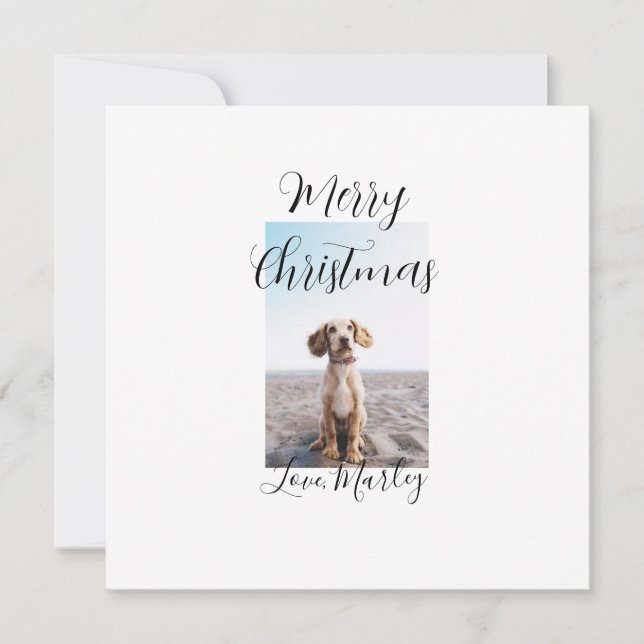 Cartão De Festividades Feliz Natal cachorro gato foto presentes de férias (Frente)