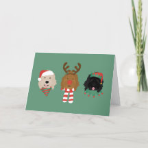 Feliz Natal Cachorros de Goldendoodle