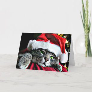 Cartão De Festividades Feliz Natal Cat