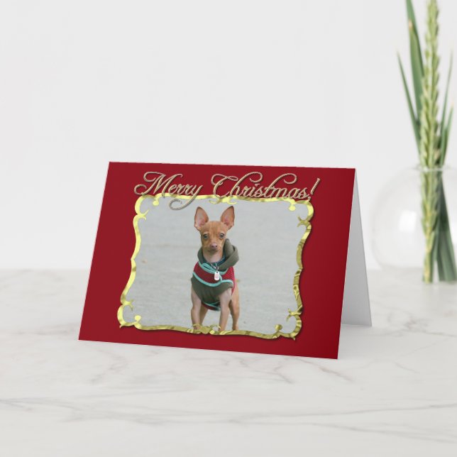 Cartão De Festividades Feliz Natal Chihuahua cão (Frente)