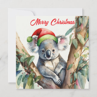 Cartão De Festividades Feliz Natal Coala sentado na Gumtree