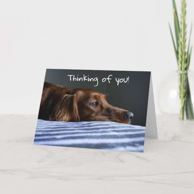 CARTÃO DE FESTIVIDADES "FELIZ NATAL" DA CACHORRINHA DOCE (Frente)