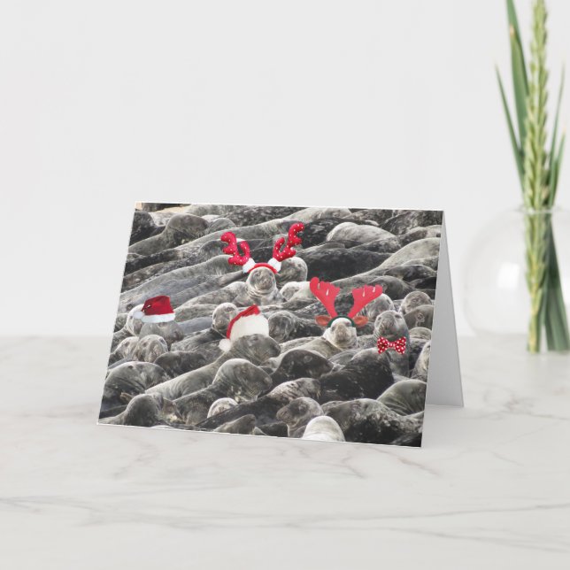 Cartão De Festividades Feliz Natal das focas (Frente)