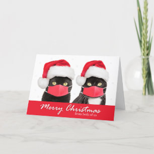 Cartão De Festividades Feliz Natal De Nós Dois Gatos com Máscaras Faciais