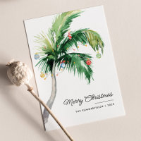 Feliz Natal Decorado Árvore de Palma