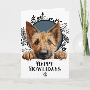 Cartão De Festividades Feliz Natal do Cão Berger Picard Howlidays
