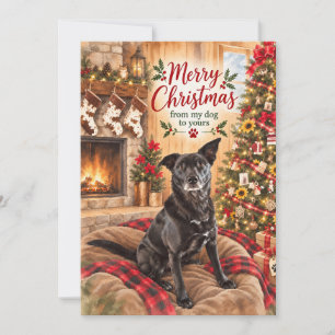 Cartão De Festividades Feliz Natal do Meu Cachorro para o Seu