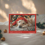 Cartão De Festividades Feliz Natal do Red Minimalista Funny<br><div class="desc">Mande uma alegria festiva com este cartão de Natal moderno e minimalista "Feliz Feliz Feliz Feliz"! Com uma fotografia adorável do seu animal de estimação, esta carta traz humor e calor aos seus cartões de natal. O simples layout vermelho e branco e a tipografia limpa mantêm o foco na foto,...</div>