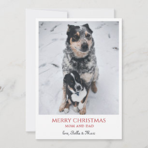 Cartão De Festividades Feliz Natal Dos Cachorros