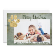 Feliz Natal Dourado Cachorro