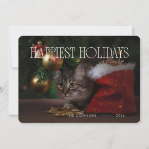 Cartão De Festividades Feliz Natal Feriados Gatinho