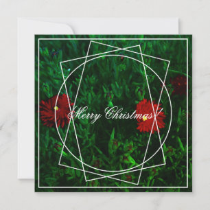 Cartão De Festividades Feliz Natal Flores Vermelhos