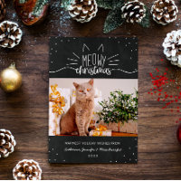 Feliz Natal - Foto de Natal de Gato