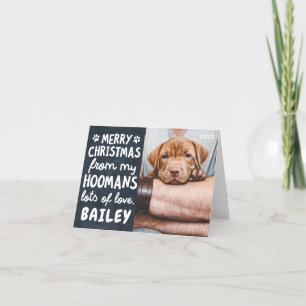 Cartão De Festividades Feliz Natal Foto Personalizada Divertida Moderna P