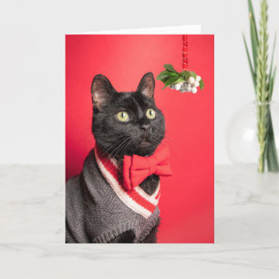 Cartão De Festividades Feliz Natal Gato Bonito Com Visgo Humor
