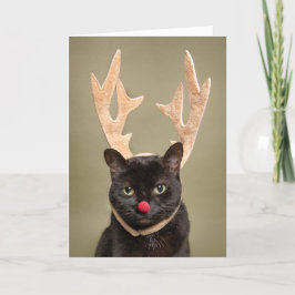 Cartão De Festividades Feliz Natal Gato Divertido com Chifres de Rena