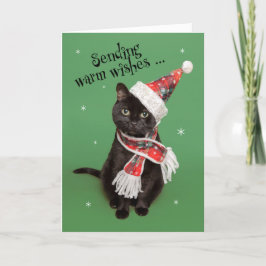 Cartão De Festividades Feliz Natal Gato Divertido de Chapéu e Cachecol